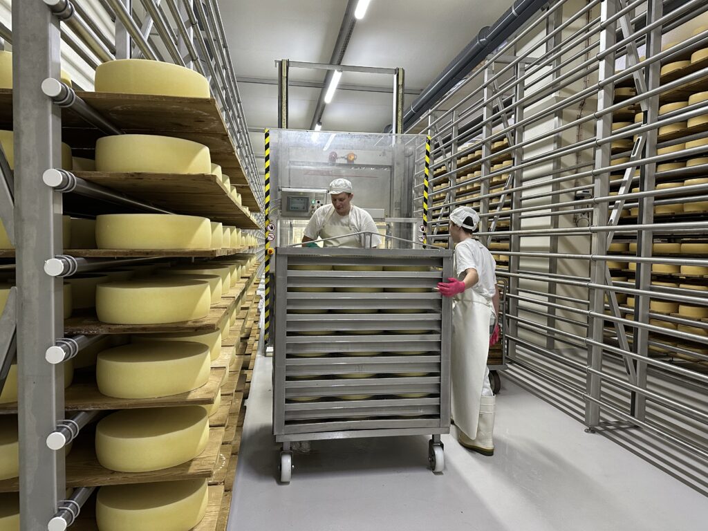 Zwei Mitarbeitende überprüfen die Käselaibe im Lager.