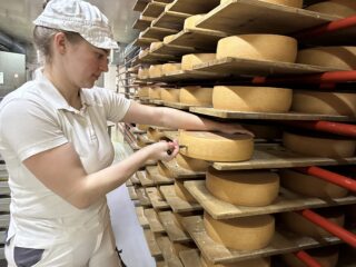 Eine Mitarbeitende der Käserei Tschumper holt einen Appenzeller-Käse aus dem Regal.
